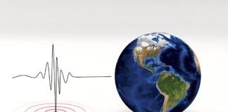 in this coloured photo you can see, on the right, a globe, and on the left, a stock chart like an electrocardiogram