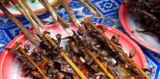 The picture shows a plate full of meat skewers on a white and blue tablecloth